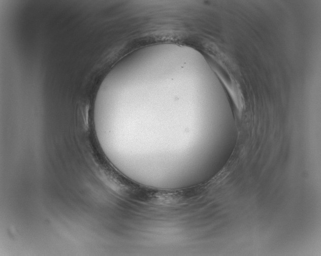 X0000074930070200609221650