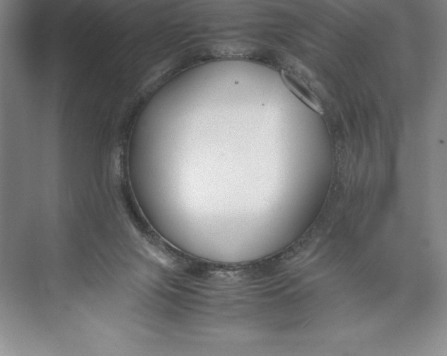 X0000074930071200609221650