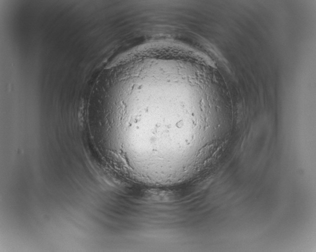 X0000074930073200609221650