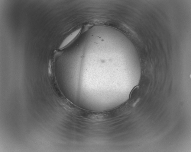 X0000074930075200609221650