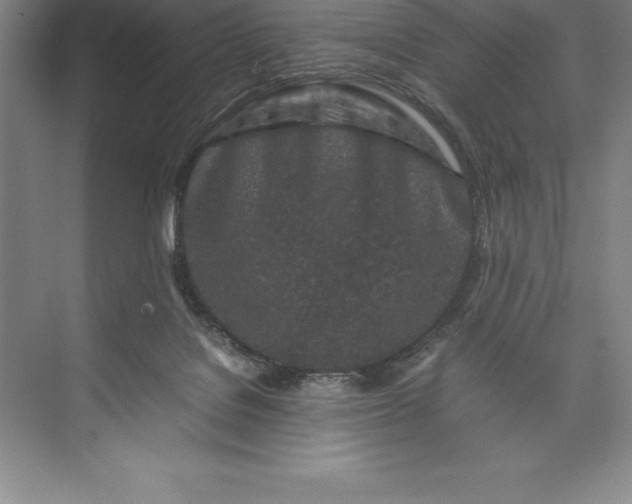 X0000074930076200609221650