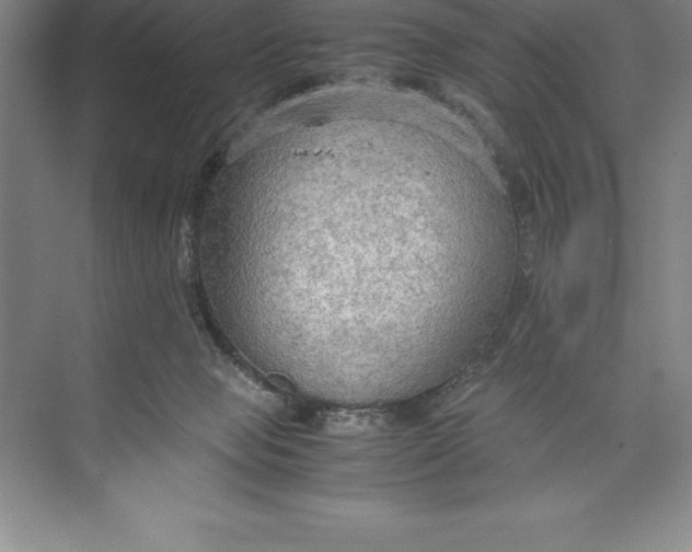 X0000074930077200609221650