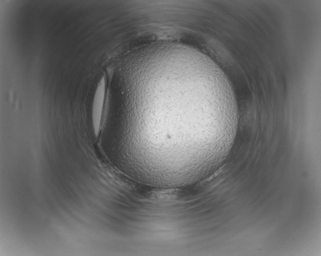 X0000074930078200609221650