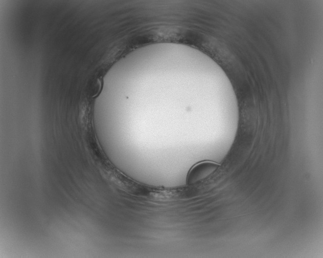 X0000074930079200609221650