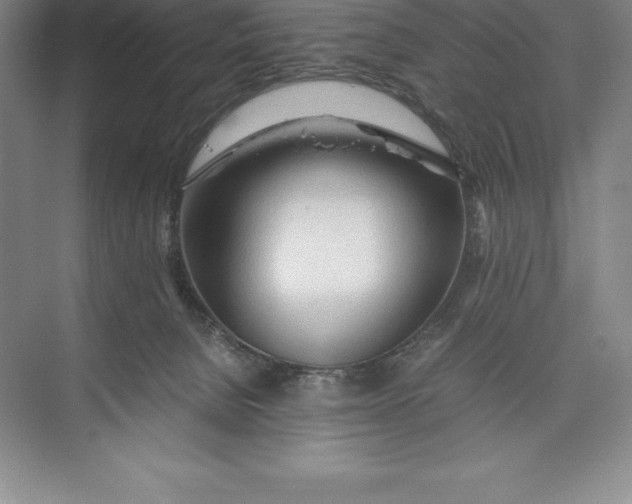 X0000074930080200609221650