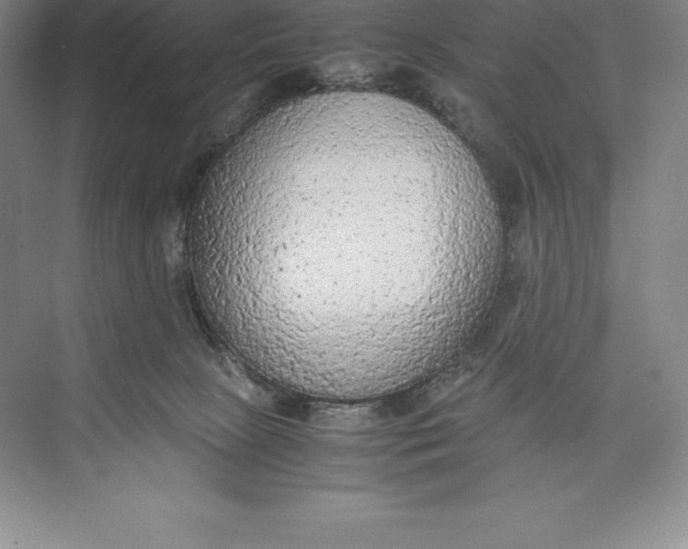 X0000074930081200609221650