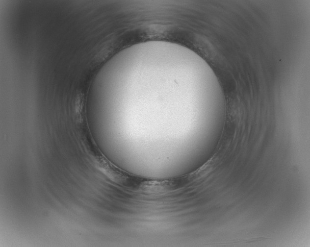 X0000074930082200609221650