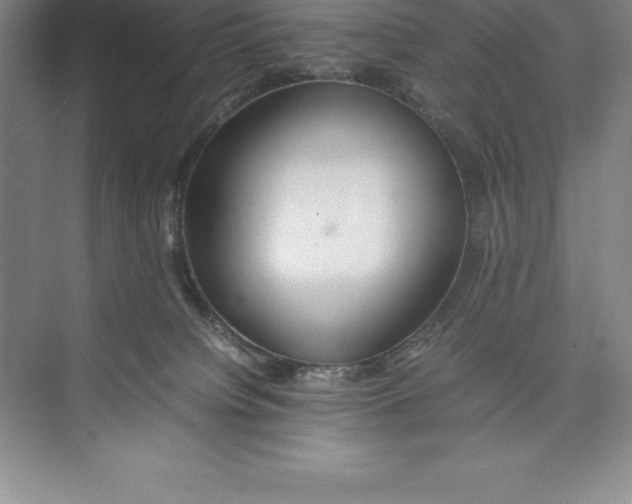 X0000074930084200609221650