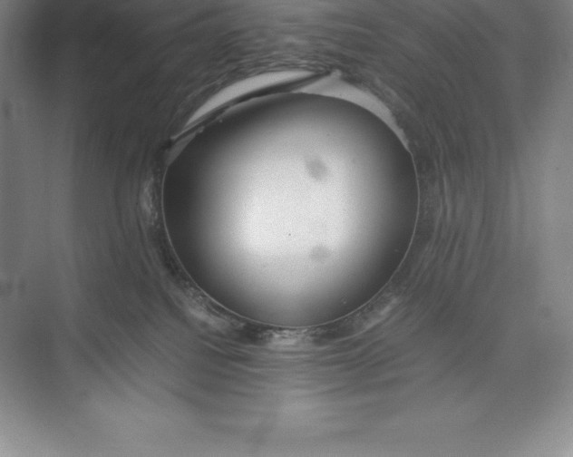 X0000074930088200609221650