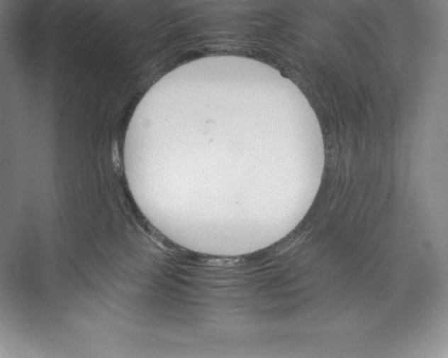 X0000074930089200609221650