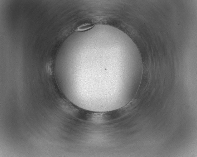 X0000074930090200609221650