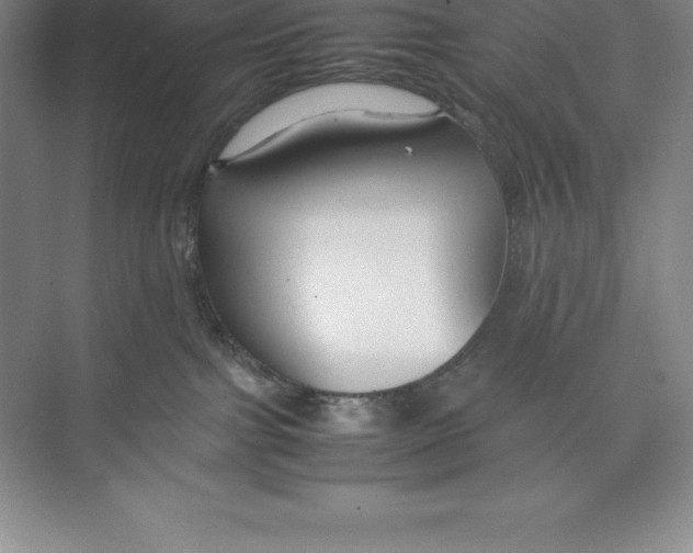 X0000074930091200609221650