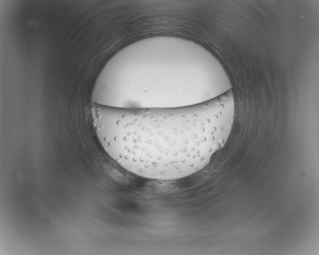 X0000074930093200609221650