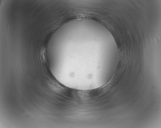 X0000074930094200609221650