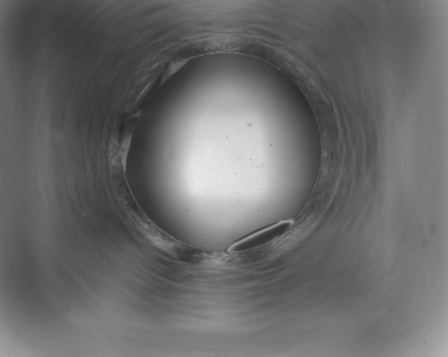 X0000074930096200609221650