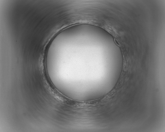 X0000074930098200609221649