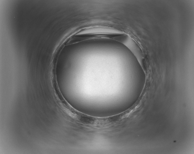 X0000074930101200609221649