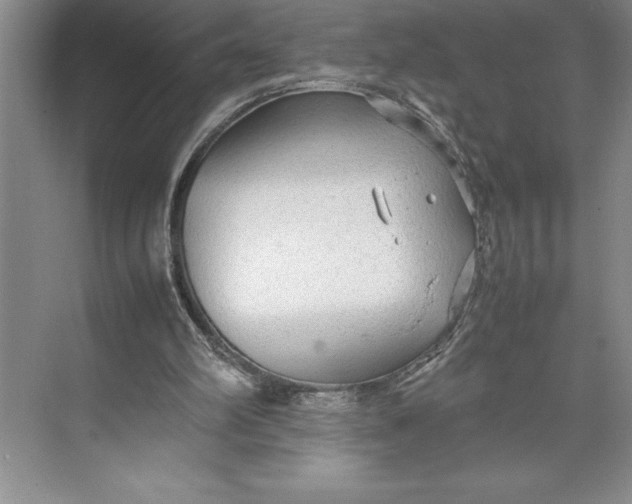 X0000074930102200609221649