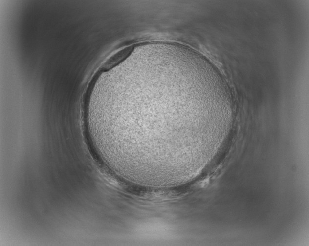 X0000074930103200609221649