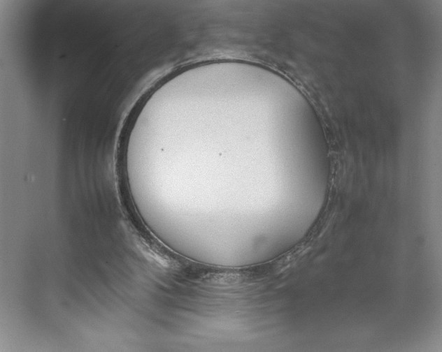 X0000074930104200609221649