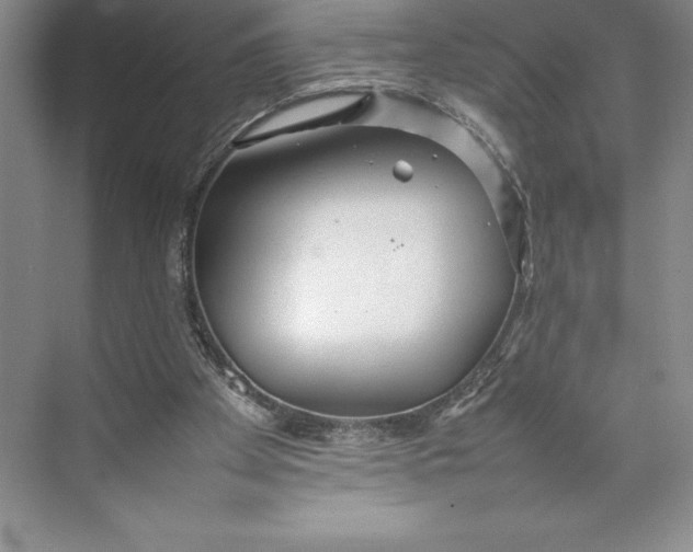 X0000074930105200609221649