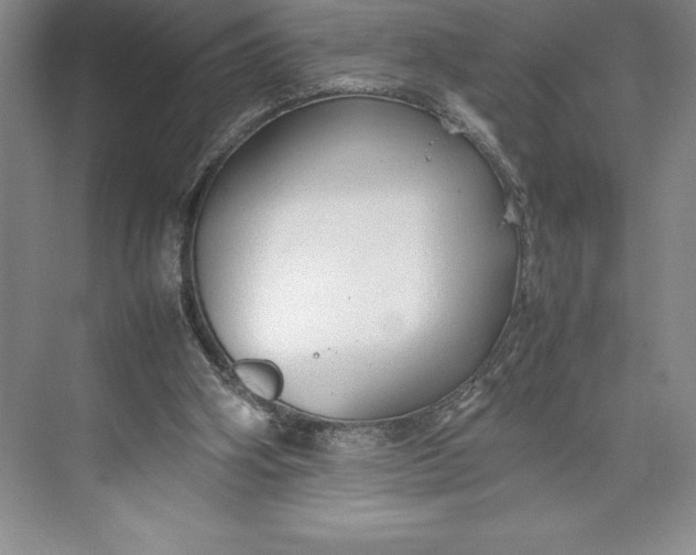 X0000074930106200609221649