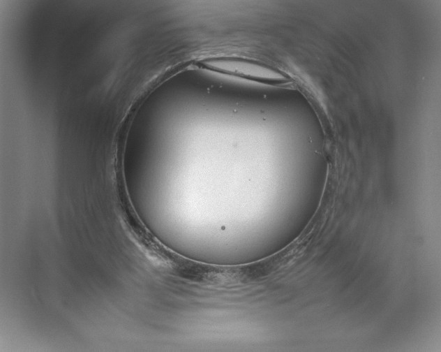 X0000074930107200609221649