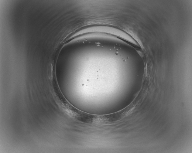 X0000074930109200609221649