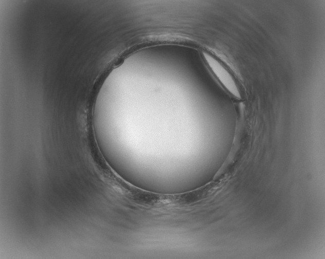 X0000074930111200609221649