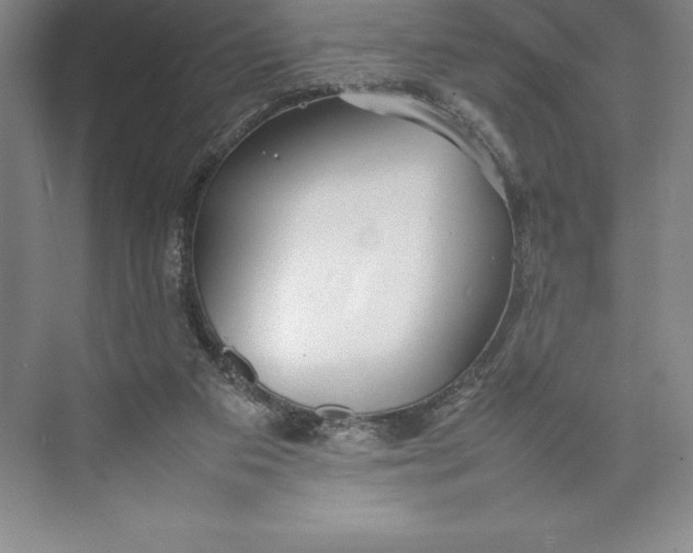 X0000074930113200609221649