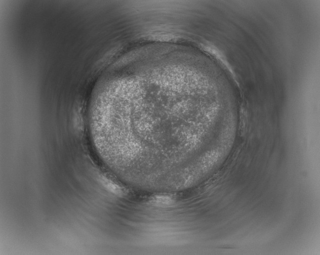 X0000074930114200609221649