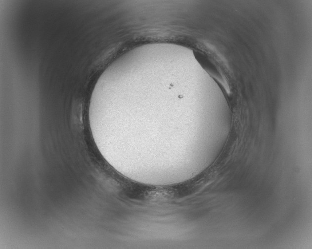 X0000074930115200609221649