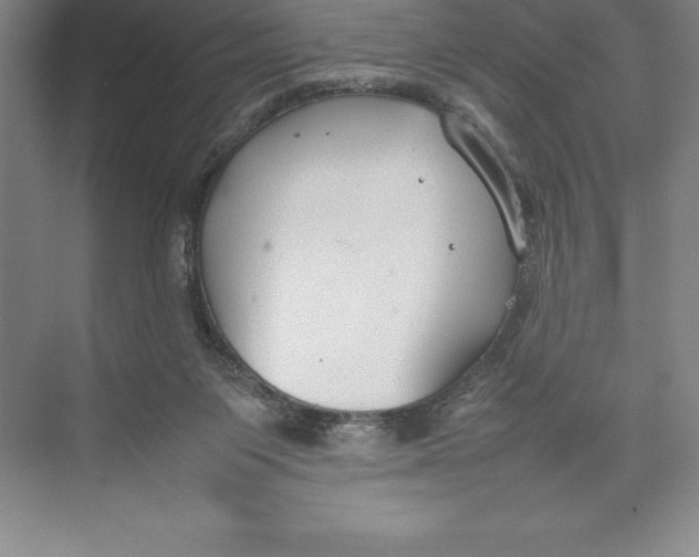 X0000074930119200609221649