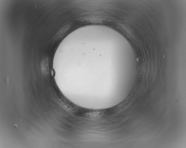 X0000074930120200609221649