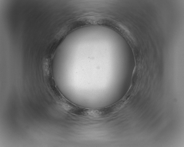 X0000074930121200609221649