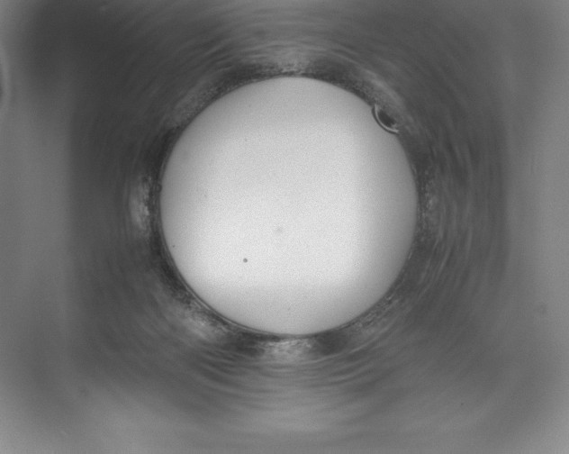 X0000074930122200609221649