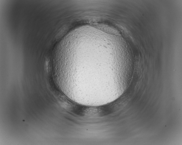 X0000074930123200609221649