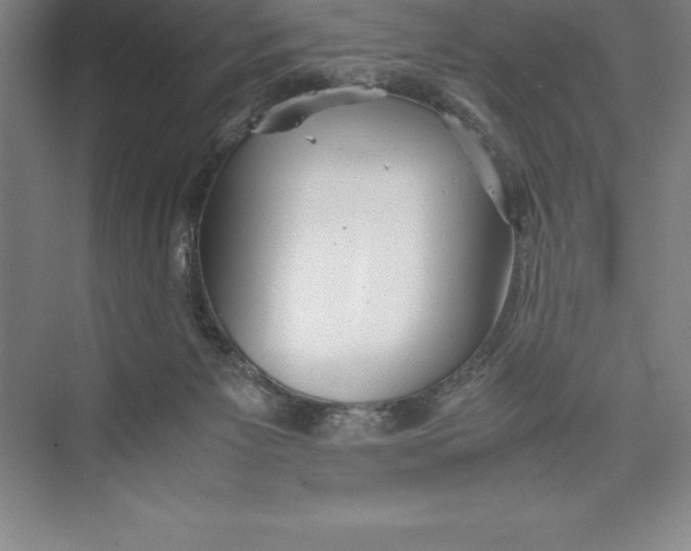 X0000074930125200609221649