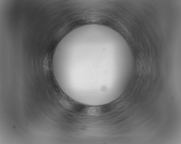 X0000074930126200609221649