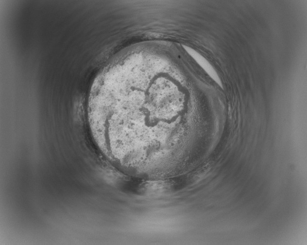 X0000074930127200609221649