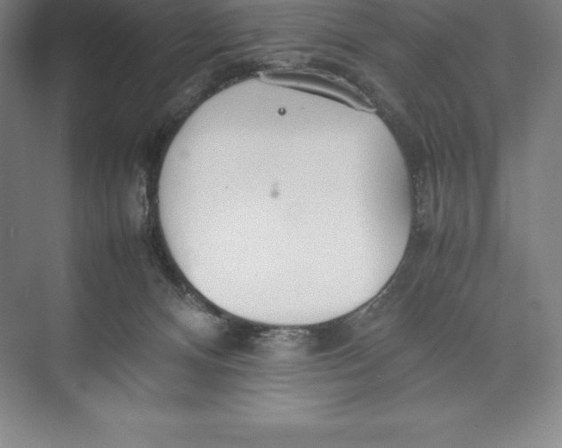 X0000074930128200609221649