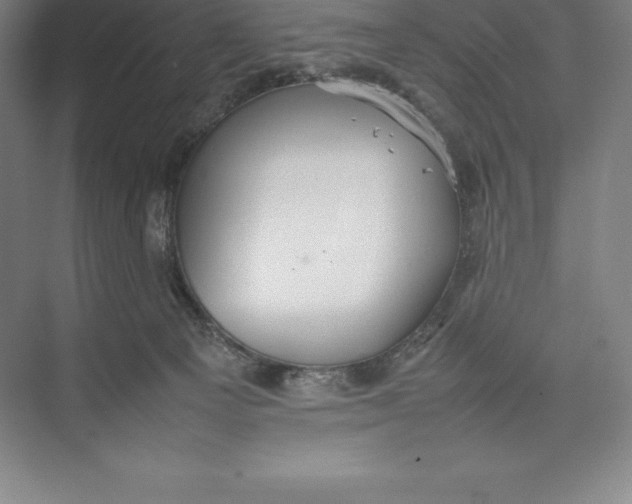 X0000074930129200609221649