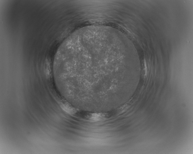 X0000074930130200609221649