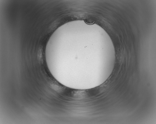 X0000074930132200609221649