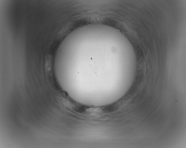 X0000074930133200609221649