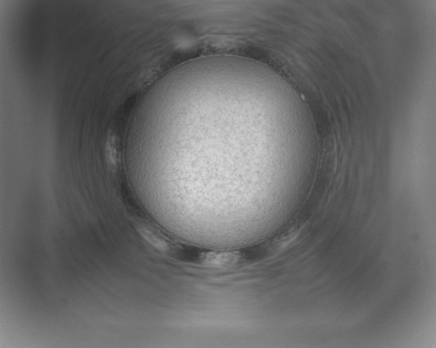 X0000074930135200609221649