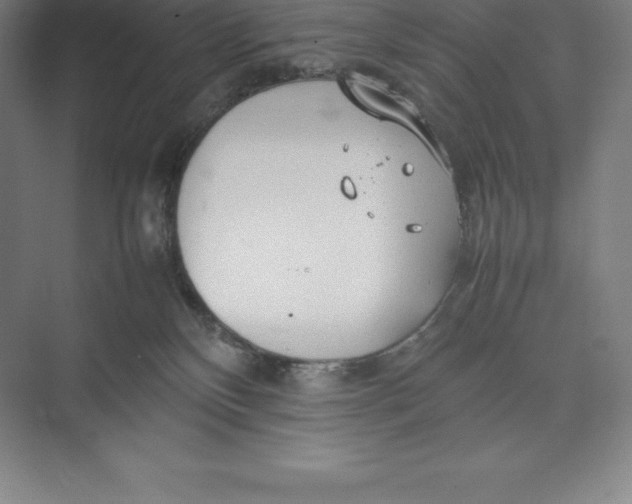 X0000074930136200609221649