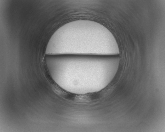 X0000074930137200609221649