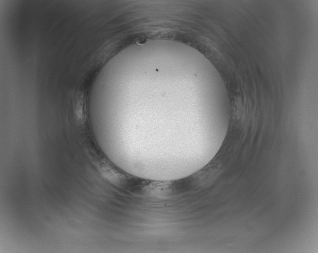 X0000074930138200609221649