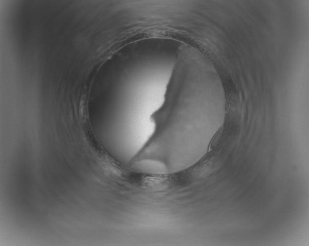 X0000074930139200609221649